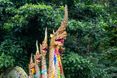 Chiang Mai, Tayland 'daki tapınak ve renkli çiçeklerin detayları. Güneş ve mavi gökyüzü ile renkli bir görüntü. Yüksek kalite fotoğraf