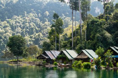 Tayland 'daki Khao Sok Ulusal Parkı' ndaki yeşil ormandaki küçük bir köy. Mavi göl ve uzun kuyruk teknesi, mavi gökyüzü. Yüksek kalite fotoğraf