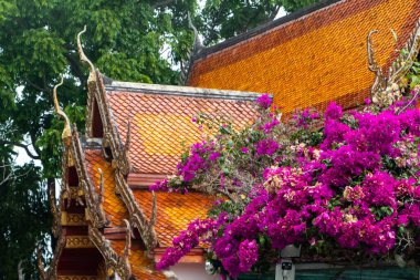 Chiang Mai, Tayland 'daki tapınak ve renkli çiçeklerin detayları. Güneş ve mavi gökyüzü ile renkli bir görüntü. Yüksek kalite fotoğraf