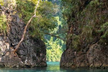 Khao Sok Ulusal Parkı, Tayland 'daki yeşil ormanlarla kaplı kireçtaşı uçurumları. Mavi göl ve uzun kuyruk teknesi, mavi gökyüzü. Yüksek kalite fotoğraf