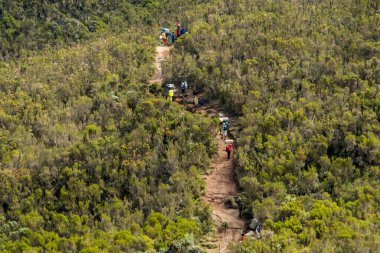 Kilimanjaro Dağı 'na doğru ilerleyen yürüyüşçüler çalıların arasından. Üstü karla kaplı, gün batımında dramatik bir ruh hali. Tanzanya, Afrika. Yüksek kalite fotoğraf