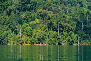 Khao Sok Ulusal Parkı, Tayland 'daki yeşil ormanlarla kaplı kireçtaşı uçurumları. Mavi göl ve uzun kuyruk teknesi, mavi gökyüzü. Yüksek kalite fotoğraf