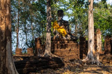 Tayland 'daki Sukhothai Tarihi Parkı' nda heykeli olan antik bir tapınak. Büyük aşınmış Buda heykelleri. Binalardan kök salmış kadim ağaçlar. İnsan yok. Yüksek kalite fotoğraf