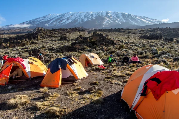 Kilimanjaro Dağı 'nda sabah güneşiyle aydınlatılan turuncu çadırlar. Yüksek kalite fotoğraf
