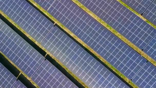 Aerial Topdown View Solar Panels Gras Solar Energy Farm Diagonal — Stock Video