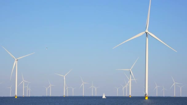 多くの風車を持つ洋上風力発電所 ヨットセーリングとオランダ 明るい青空と回転する白と黄色の風力タービンの異なるサイズ 高品質4K映像 — ストック動画