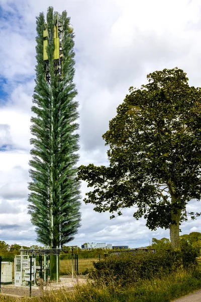 Mobil telekomünikasyon baz istasyonu ağaç kılığında, kamufle gsm antenli. Yüksek kalite fotoğraf