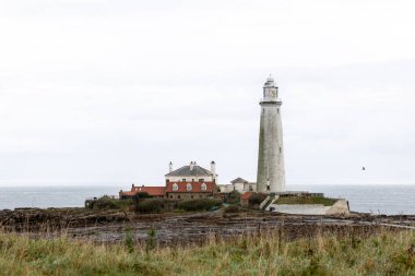 St. Marys Deniz Feneri, bazalt yolu alçak gelgitte ve saf beyaz gökyüzü. Whitley Körfezi, Newcastle, İngiltere. 