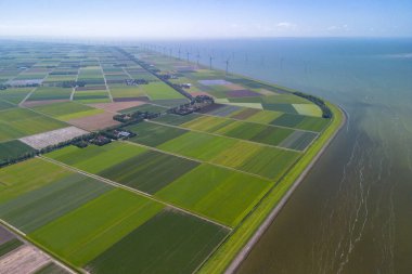 Göl ve yel değirmenleri yakınlarındaki tipik Hollanda tarım arazilerinin hava aracı görüntüsü. Yüksek kalite fotoğraf