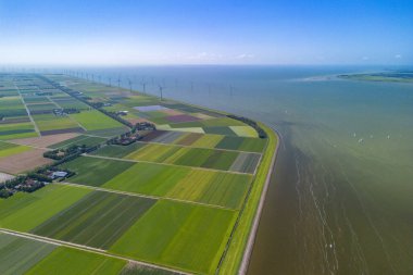 Göl ve yel değirmenleri yakınlarındaki tipik Hollanda tarım arazilerinin hava aracı görüntüsü. Yüksek kalite fotoğraf