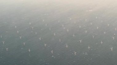 Kuzey Denizi 'nde, Hollanda' da, Avrupa 'da rüzgar türbinleriyle kıyı ötesi rüzgar tarlalarının havadan görüntüsü. Birkaç büyük beyaz ve sarı rüzgar türbini, mavi, sakin bir denizde rüzgar değirmenleri. Yüksek kalite 4K görüntü