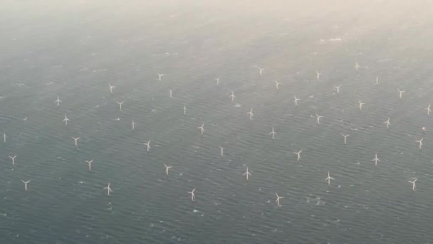 オランダ ヨーロッパの風力タービンを備えたオフショア風力発電所の空中視野 いくつかの大きな白と黄色の風力タービン 青の風力発電所 落ち着いた 高品質の4K映像 — ストック動画