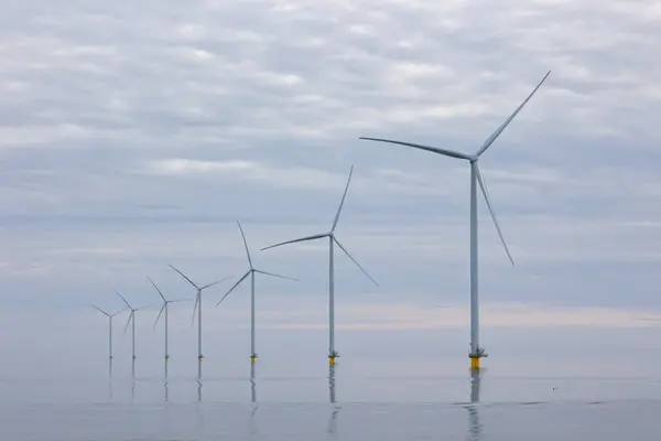 Sahil açıklarında rüzgar türbinleri ya da düz, sakin bir denizde rüzgar olmayan rüzgar değirmenleri. Gri bulutlu gökyüzü. Yüksek kaliteli fotoğraf.