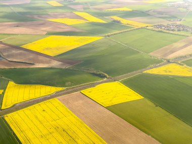 Kuzey Fransa 'daki parlak sarı kolza tohumu tarlaları ve çiftlik, Brassica napus' un hava görüntüsü. Yüksek kalite fotoğraf