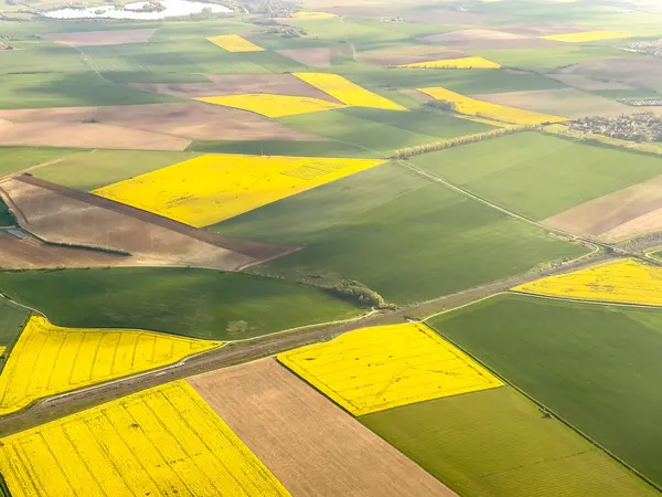 法国北部的Brassica Napus是一片明亮的黄色油菜地和农场的空中图像 高质量的照片 图库图片