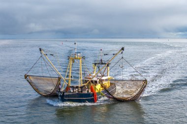 Balıkçı teknesinin hava manzarası, Wadden Denizi 'nde martılarla ağ ören tekne. Yüksek kalite fotoğraf