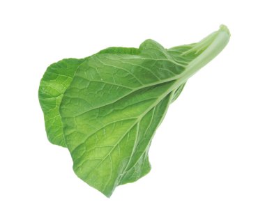 Bok choy vegetables isolated on a white background