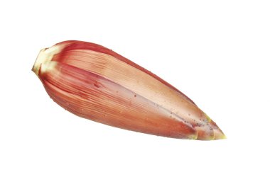 Beyaz arka planda gölgesiz muz çiçeği..