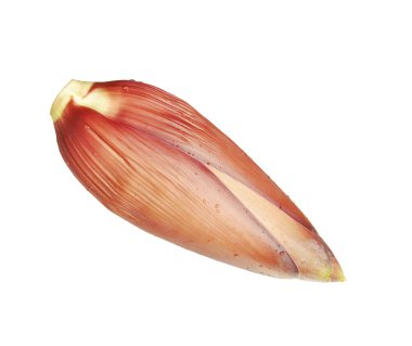 Beyaz arka planda gölgesiz muz çiçeği..