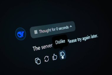 Dhaka, Bangladeş - 05 Şubat 2025: Laptop ekranında derin hasta. 