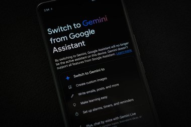 Dhaka, Bangladeş - 17 Mart 2025: Google Gemini uygulaması akıllı telefon ekranında görüntülenir.