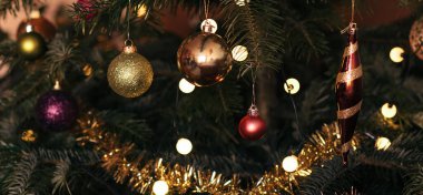 Yeni yılın renkli oyuncakları ve çelenkleri doğal bir Noel ağacında asılı duruyor. Yakın çekim ve yumuşak odaklanma, Noel ve Yeni Yıl arkaplan kavramı