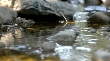 Yazın taşlı şeffaf bir nehir.