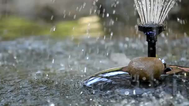 Dekoratif Çeşme Suyu Damlaları — Stok video
