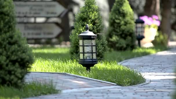 Decorative Lantern Park — Stock Video