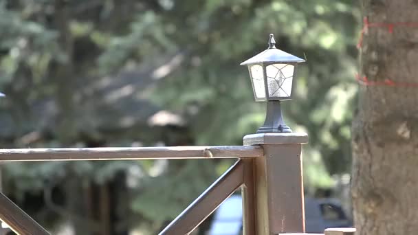 Lantern Parku Létě Slunci — Stock video