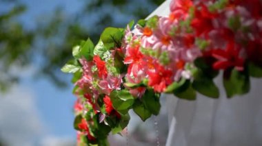 Hafif çiçek çadırı dekoratif düğün çevresi