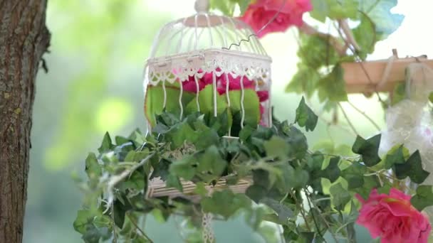 Çiçekli Kuş Kafesi Dekoratif Düğün Çevresi — Stok video