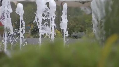 Yeraltından gelen çeşme. Manzara tasarımı, yazın güzelliği. 