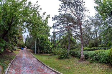 Harika bir resim parkı. Bir sürü bitki ve ördekli bir göl. Çeşme, köknar, arborvitae, yabani üzüm..