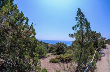Kıyıya yakın Rocky manzaralı patika. Kırım 'ın deniz manzarası çok güzel..