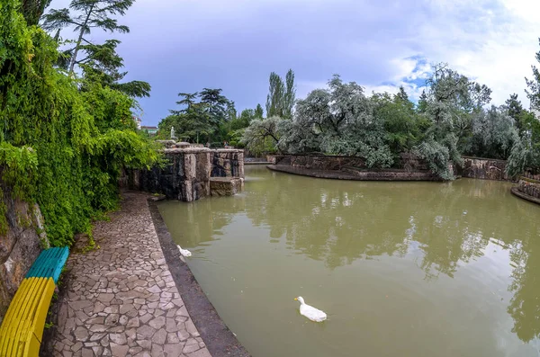 Harika bir resim parkı. Bir sürü bitki ve ördekli bir göl. Çeşme, köknar, arborvitae, yabani üzüm..