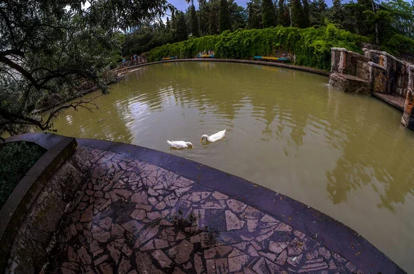 Harika bir resim parkı. Bir sürü bitki ve ördekli bir göl. Çeşme, köknar, arborvitae, yabani üzüm..