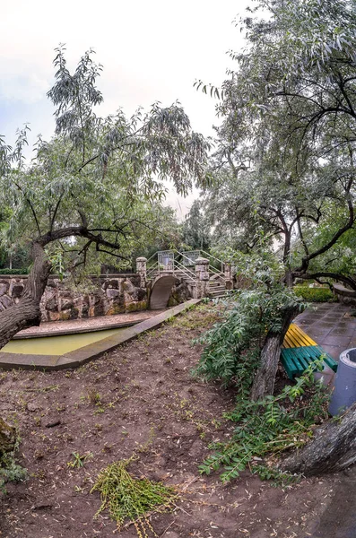 Harika bir resim parkı. Bir sürü bitki ve ördekli bir göl. Çeşme, köknar, arborvitae, yabani üzüm..