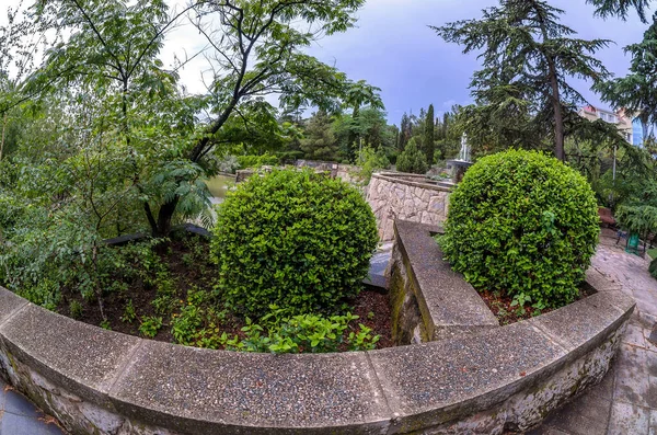 Harika bir resim parkı. Bir sürü bitki ve ördekli bir göl. Çeşme, köknar, arborvitae, yabani üzüm..