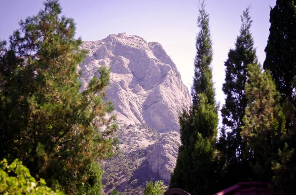 Kıyıya yakın Rocky manzaralı patika. Kırım 'ın deniz manzarası çok güzel..