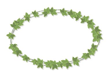 Yaprak çiziminin yuvarlak çerçevesi (suluboya, sarmaşık)