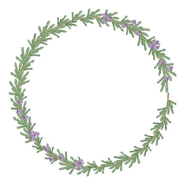 葉のイラスト丸枠 ローズマリー — ストック写真