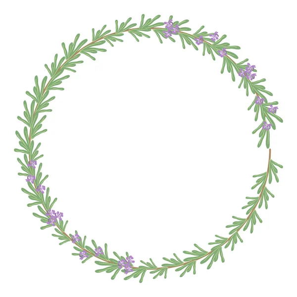 Кругла Рамка Листковою Ілюстрацією Вектор Розмарин — стоковий вектор