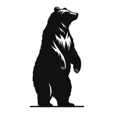 Sağlam siyah vektör ile ayakta duran ayı silueti orman sahneleri, kamp grafikleri ve açık hava macera temaları için harika bir yaban hayatı tasarımı..