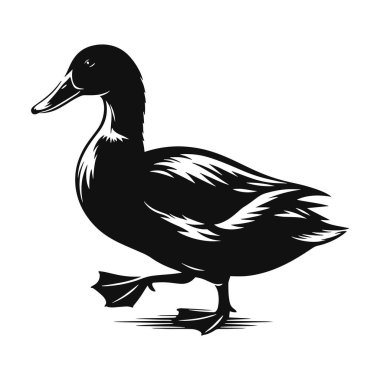 Vahşi Yaşam Sanatı, Seyahat Zirvesi ve Egzotik Hayvan Tasarımları için Çöl Yürüyen Deve Silueti Kara Vektör Grafiği.