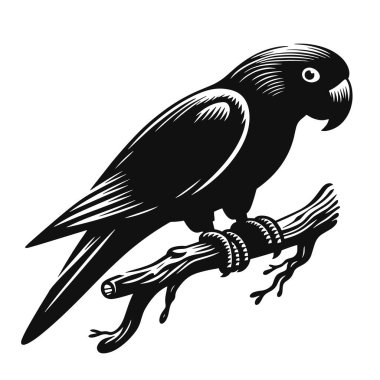 Tropikal kuş sanatı, canlı vahşi yaşam ve egzotik doğa temalı tasarımlar için tünemiş papağan silueti Siyah Vektörü