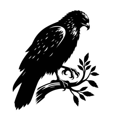 Şahin Silueti Yırtıcı Kuş Grafik, Vahşi Yaşam Sanatı ve Doğa Temalı Dış Tasarımlar için Kara Vektör tünedi.