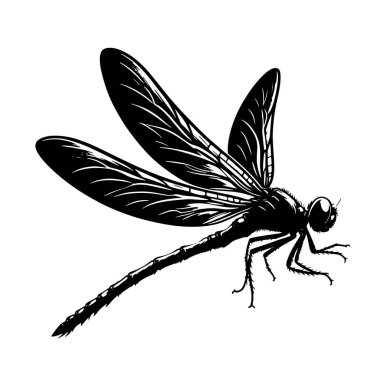 Vahşi Yaşam Sanatı, Seyahat Zirvesi ve Egzotik Hayvan Tasarımları için Çöl Yürüyen Deve Silueti Kara Vektör Grafiği.