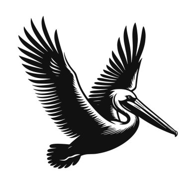 Uçan Pelikan Silueti Kıyı Vahşi Yaşam Sanatı, Okyanus Kuş Grafikleri ve Doğa Tasarımları için Kara Vektör