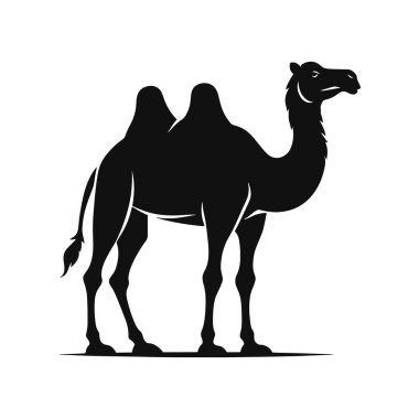 Vahşi Yaşam Sanatı, Seyahat Zirvesi ve Egzotik Hayvan Tasarımları için Çöl Yürüyen Deve Silueti Kara Vektör Grafiği.